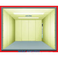 Large Space and Smoothly Car & Cargo Elevator Lift for Sale